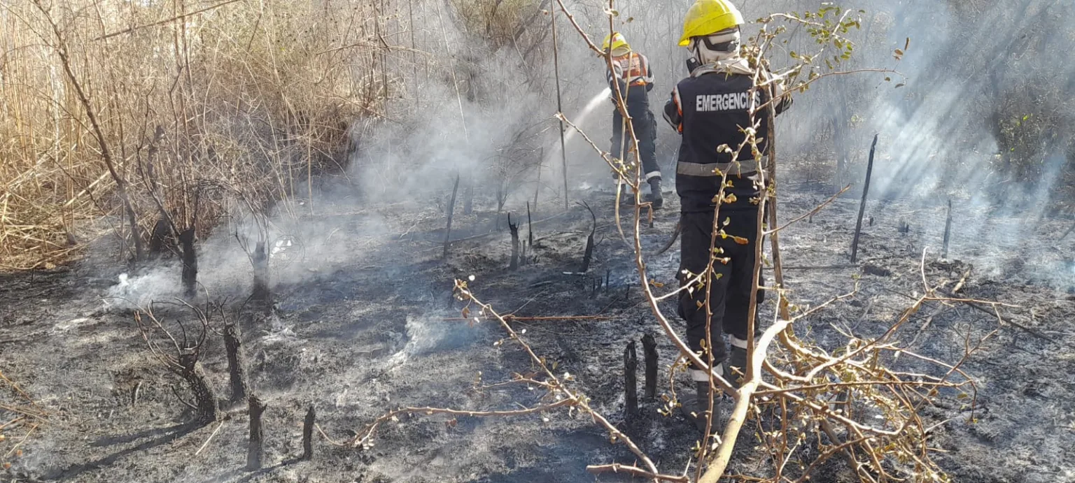 Rige un alerta por incendios forestales en la ciudad
