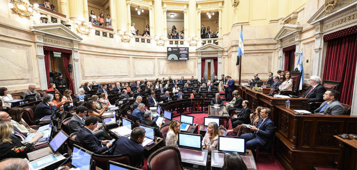 Senadores de Salta convocarán a legisladores nacionales por Ley de Discapacidad