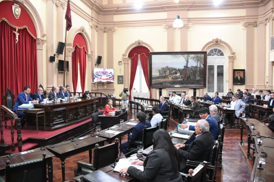 El senado dio sanción definitiva a la reforma electoral en Salta