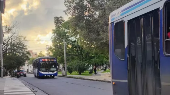 Por el Día del Trabajador, los colectivos  circularán de 10:00 a 22:00 Horas