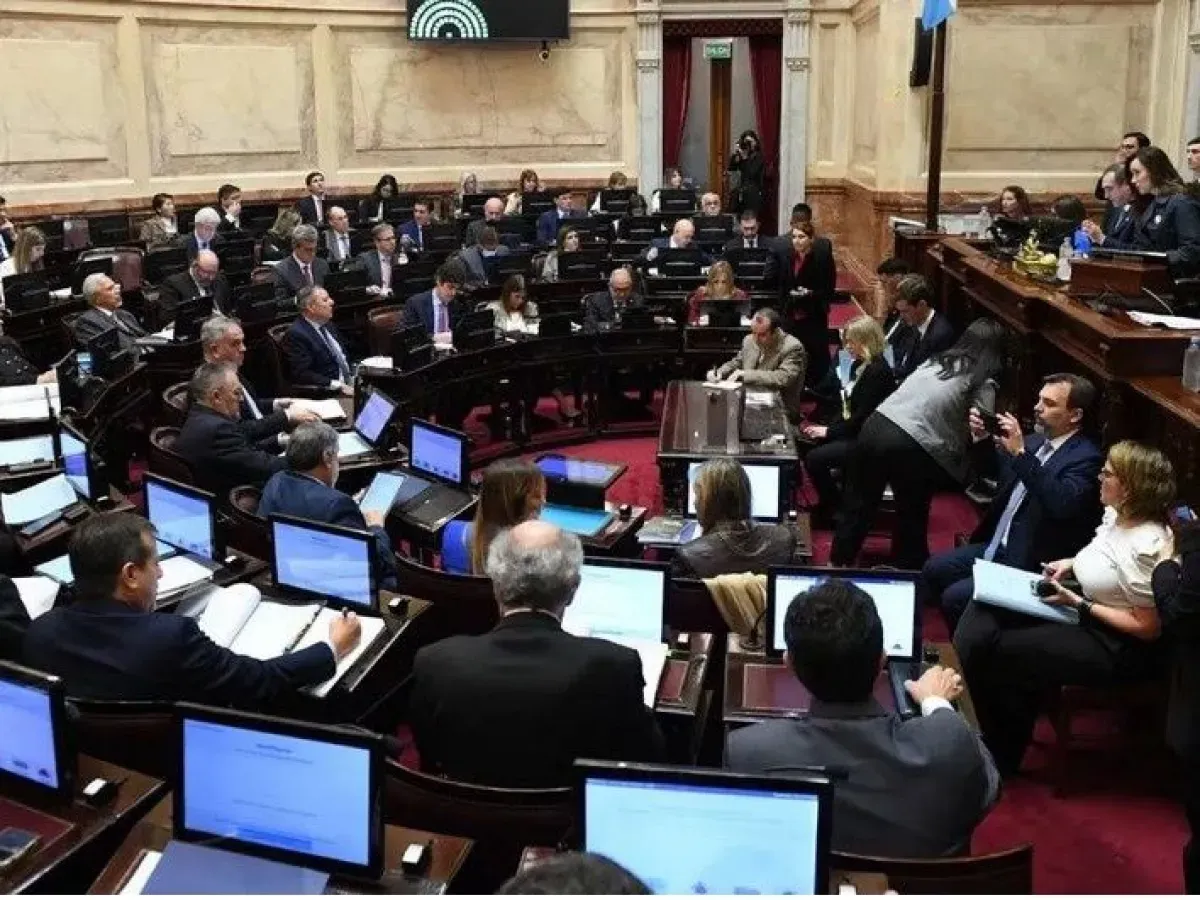 Desde mayo, los senadores nacionales cobran más de $11 millones por mes