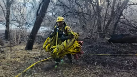 Los bomberos lograron contener el incendio forestal en Cafayate