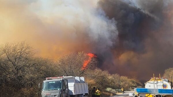 Incendios en Cafayate: se estima que se perdieron alrededo de 200 hectáreas en un mes